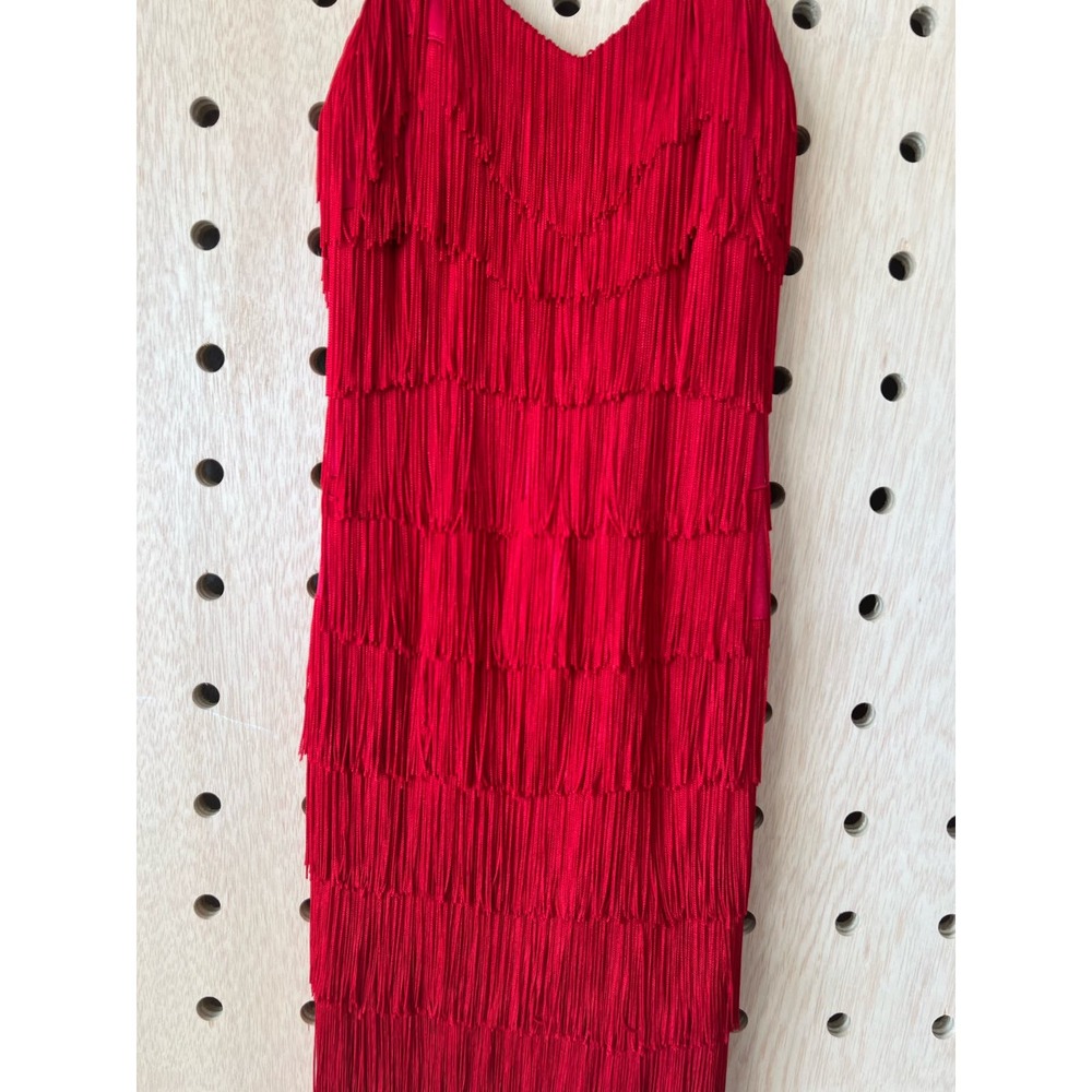 Fringe Flapper Dress - image 1